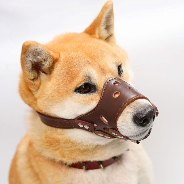 Dog Muzzle Silencer