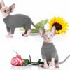 Turtleneck Hairless Cat Shirt