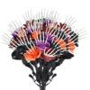 Skull Hand Rose Decoration Ornaments
